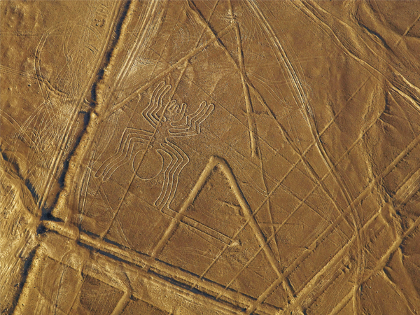 lineas de nazca.jpg